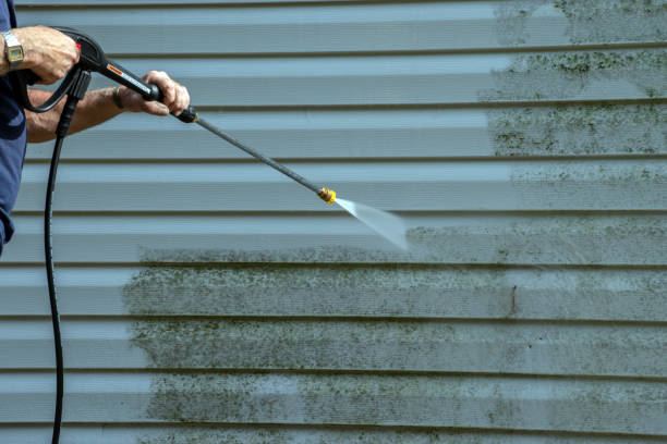 Best Pressure Washing Driveway  in West Liberty, IA