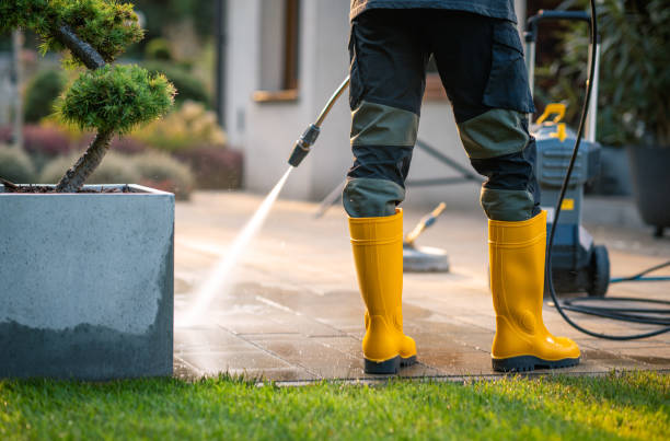 Best House Pressure Washing  in West Liberty, IA